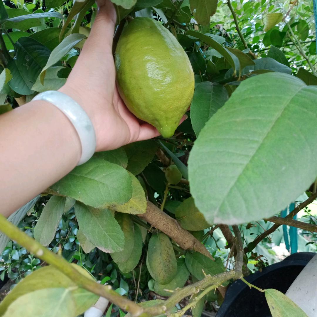 🥀এ᭄败给ꦿ现❤️实 ོ࿐ᩚ