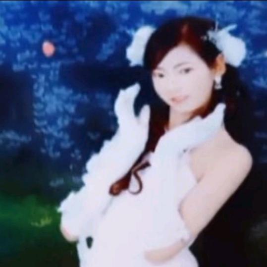 白鹊