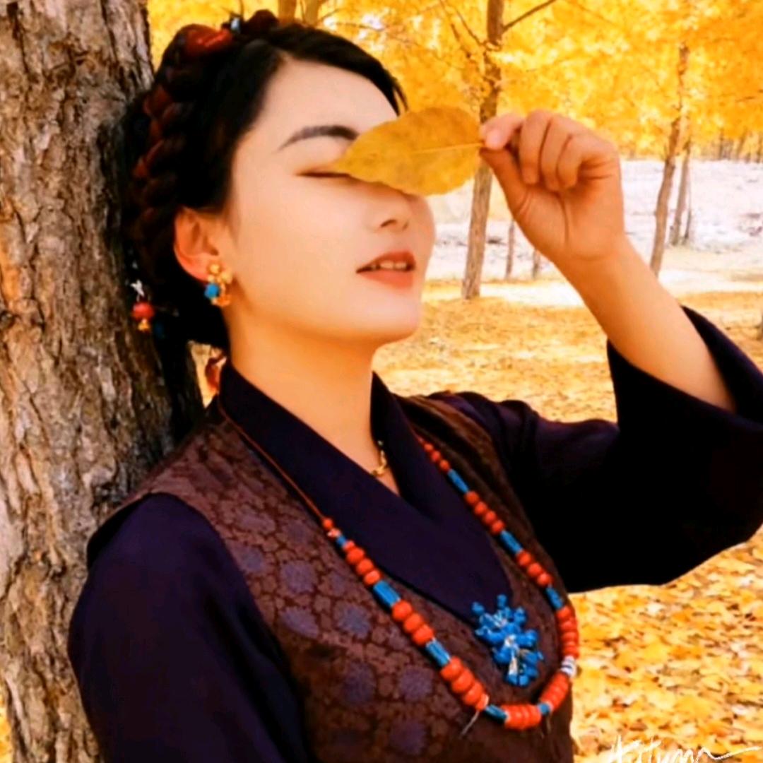 藏家姑娘🦋🦋