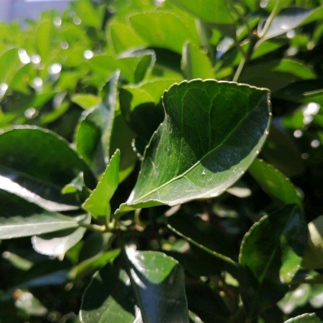 我在抖音看世界