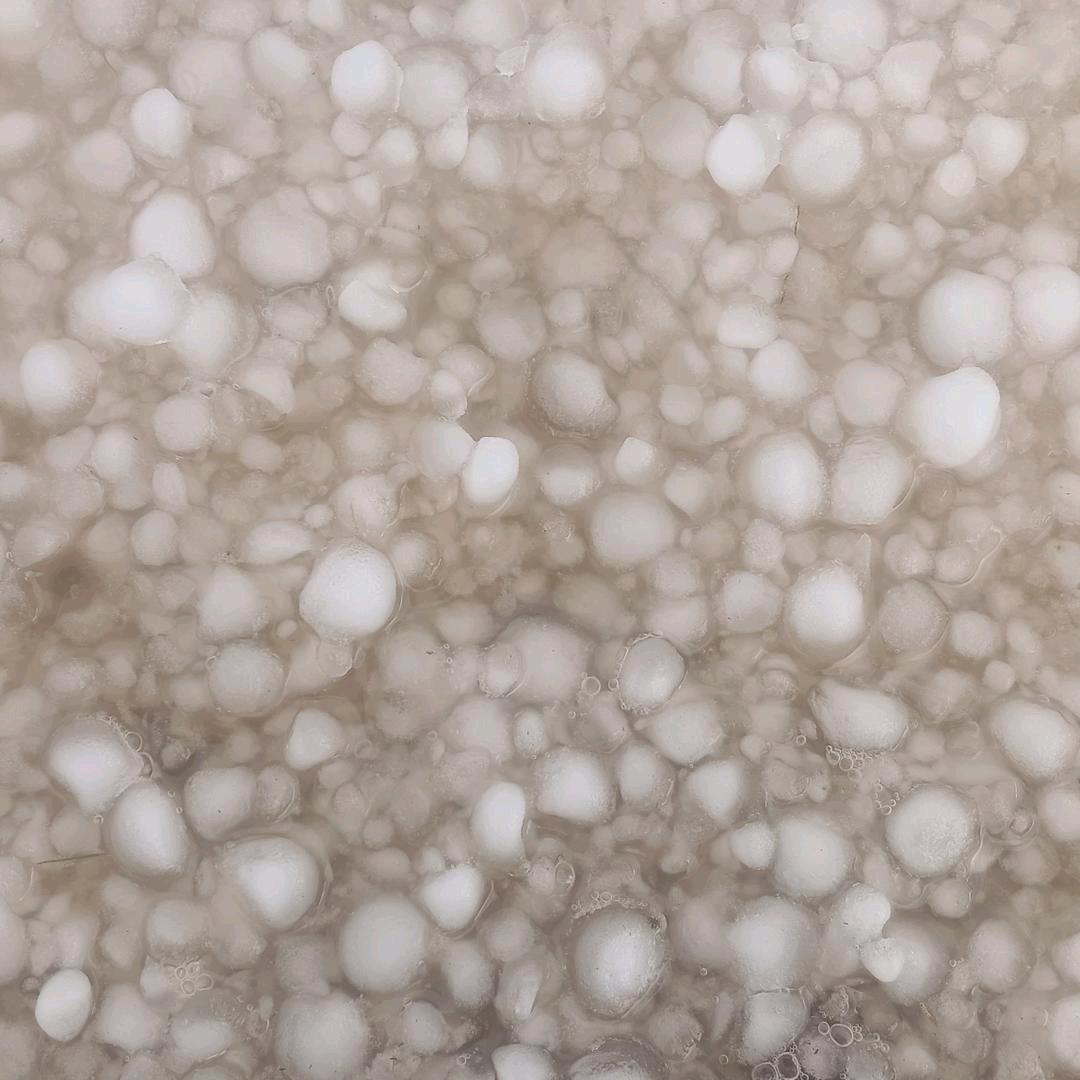 一切无常