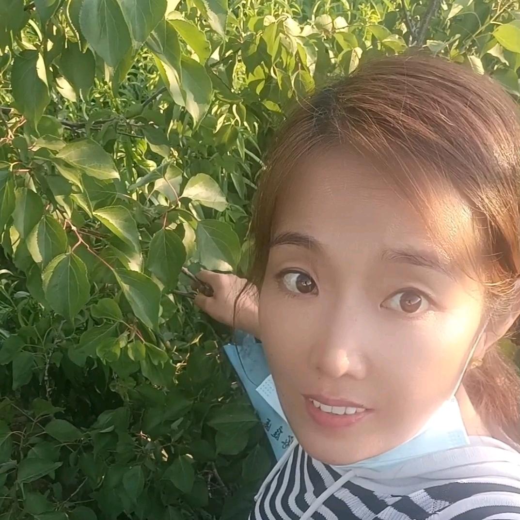 乡村小意