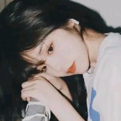 藏宝阁🌙