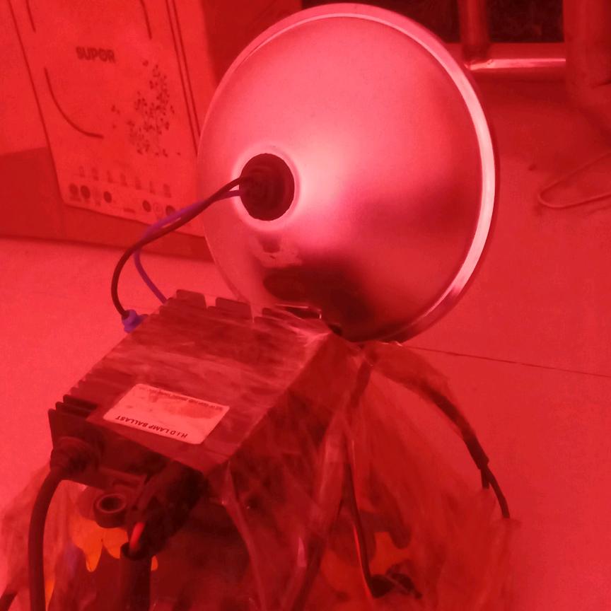 。。。。。。。