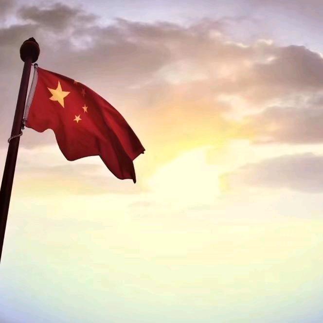 十一