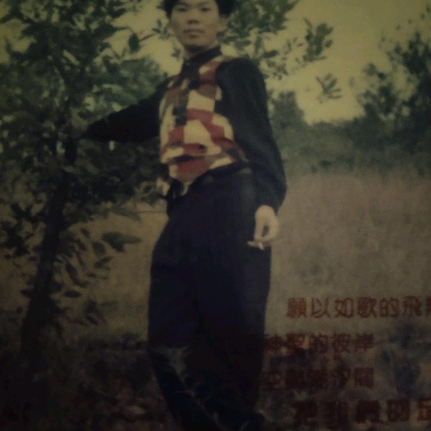 无盐的咸菜