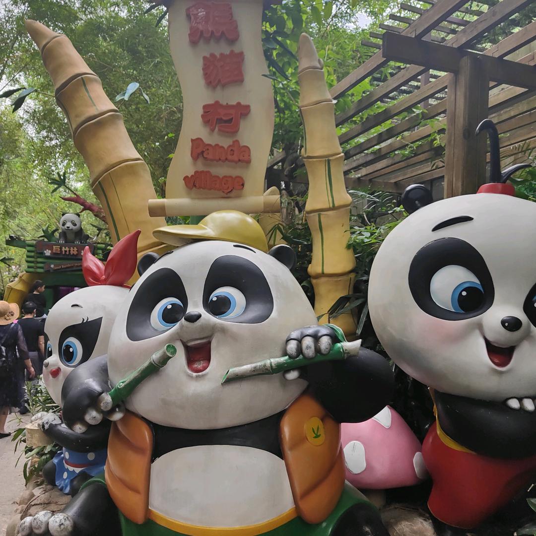🐼