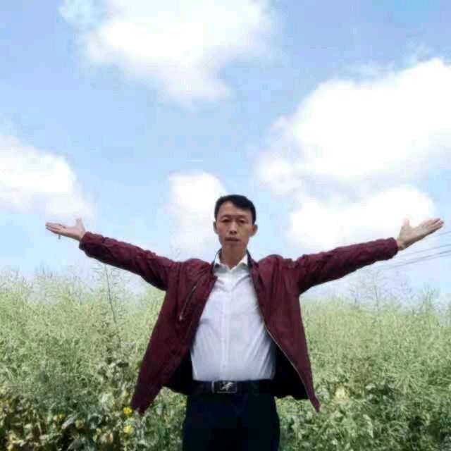 彦年臻选-任逍遥