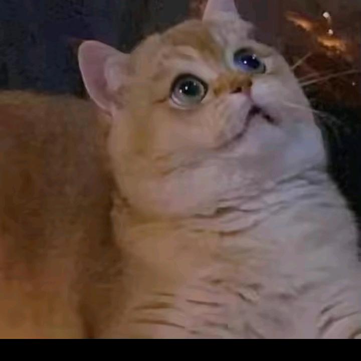 小周的生活小铺