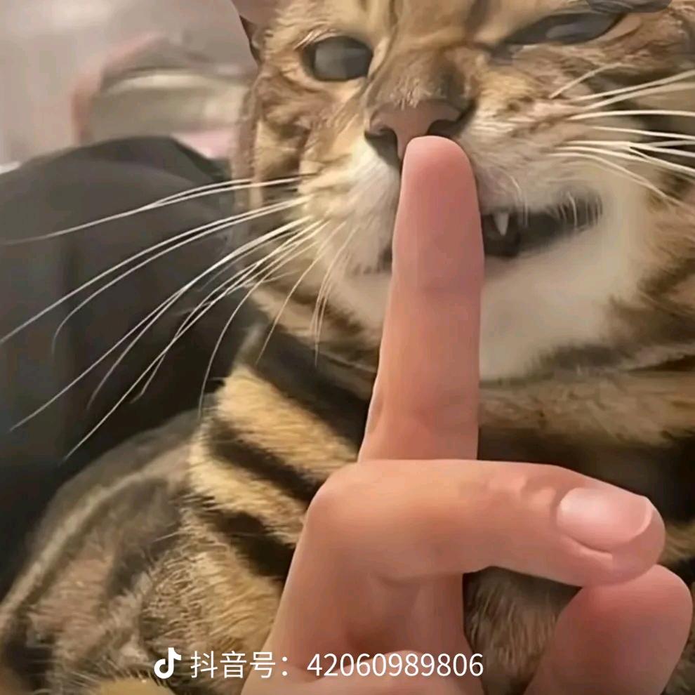 爱吃零食