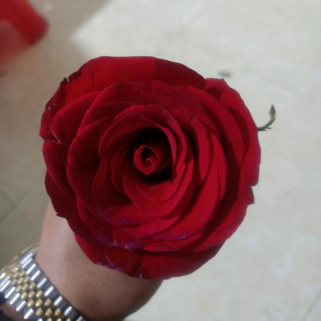 红酒杯中的二锅头