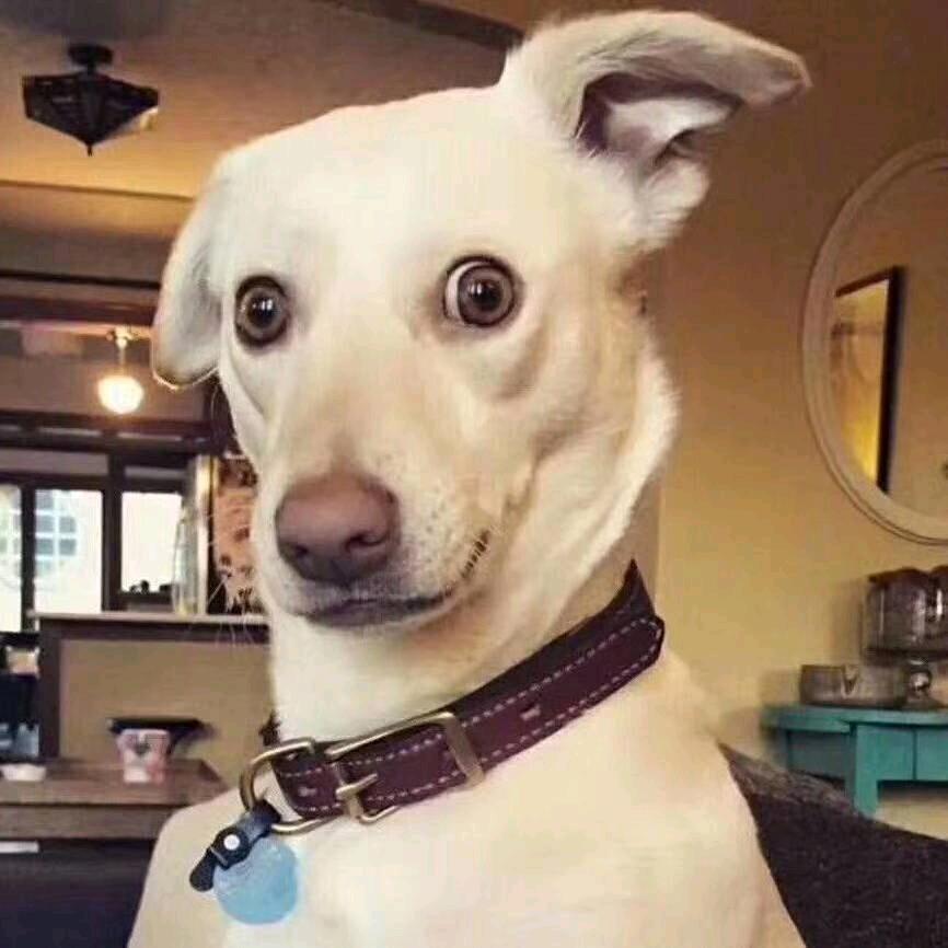 打开一扇窗