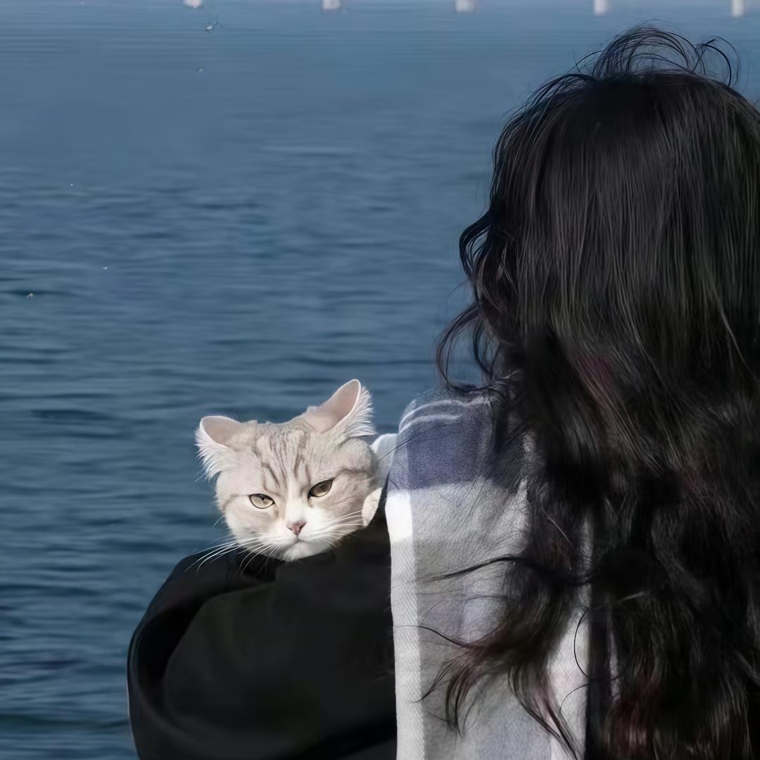 十七吖~
