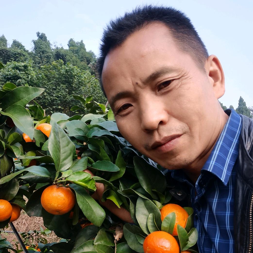 A小刘果业（果蔬链）