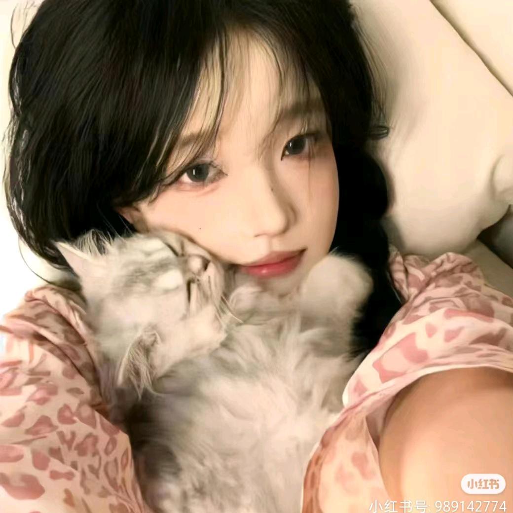 努力搬砖的喵🐾