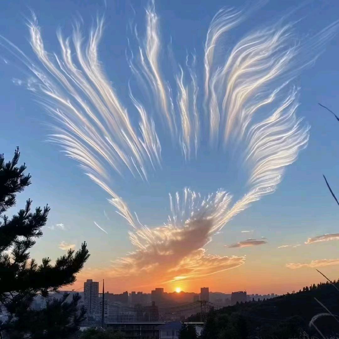 卐烈酒■￡敬人生√