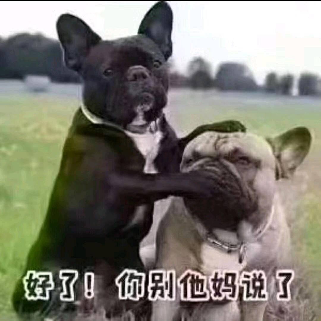 野心勃勃🇨🇳（99.12）