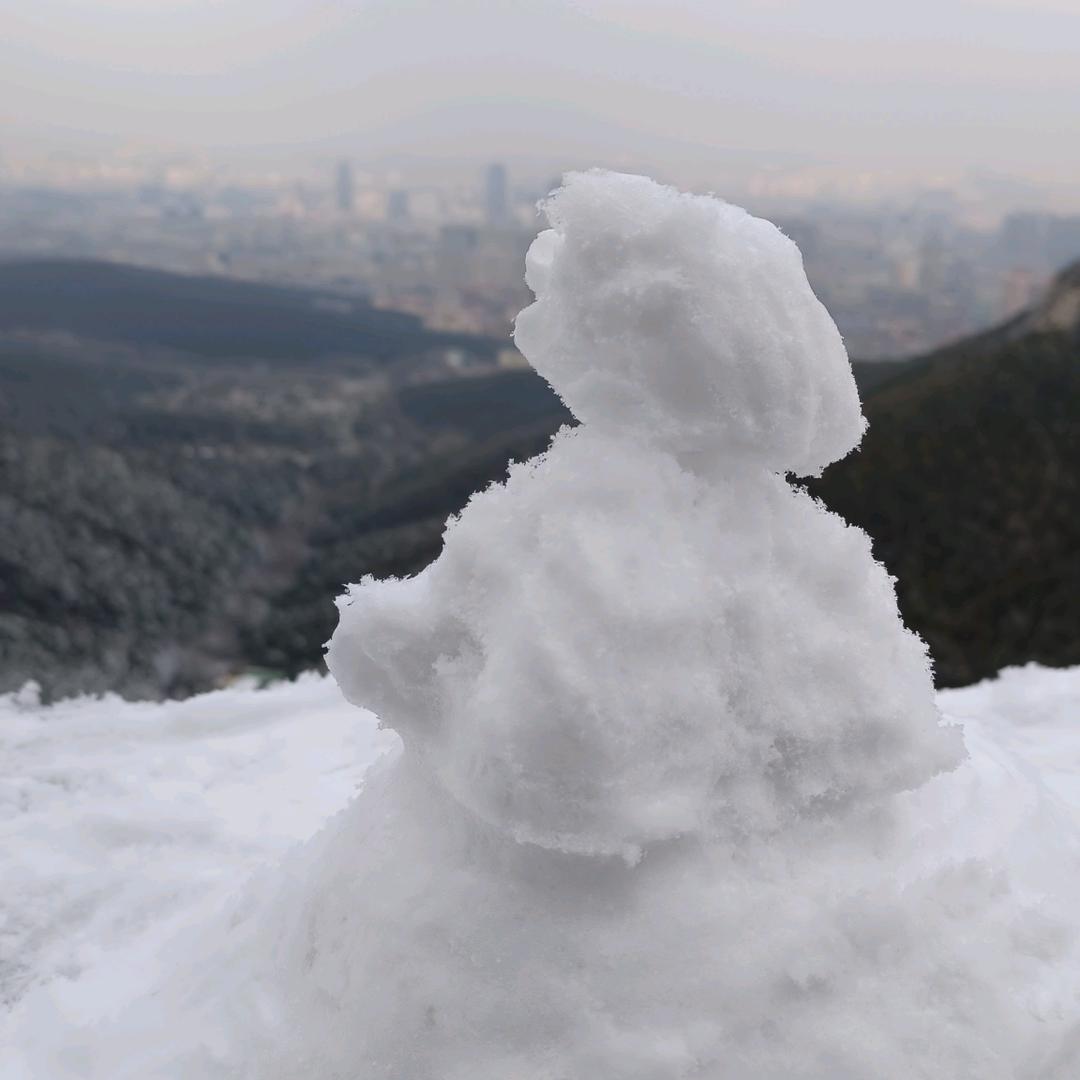 🌅田城波波🐮🌇(霜降)