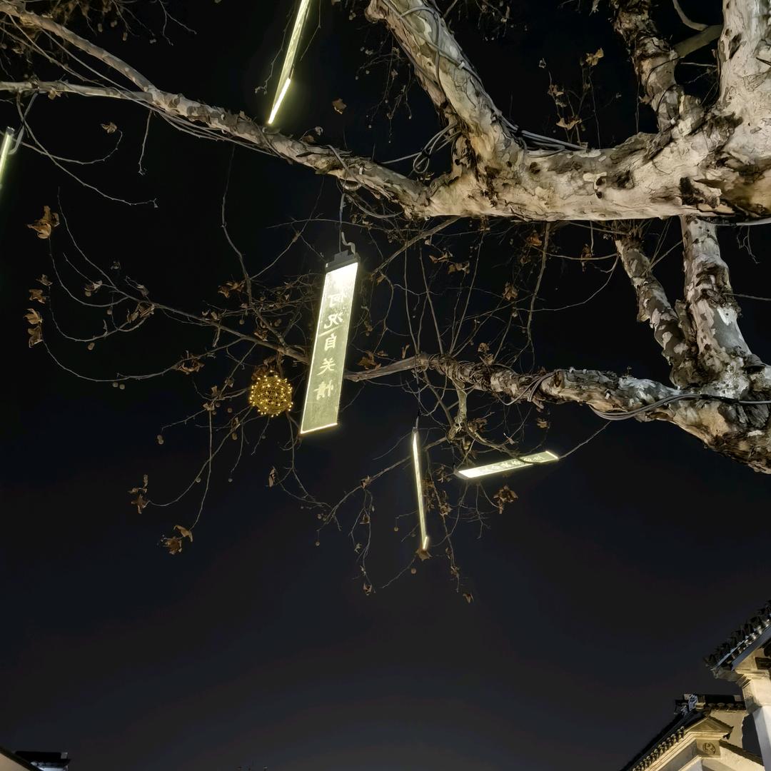 向阳花不会开花🌼