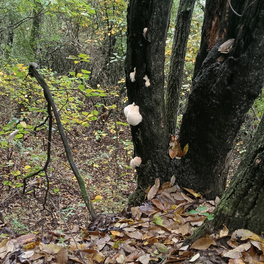 沉默不争不抢当过客15