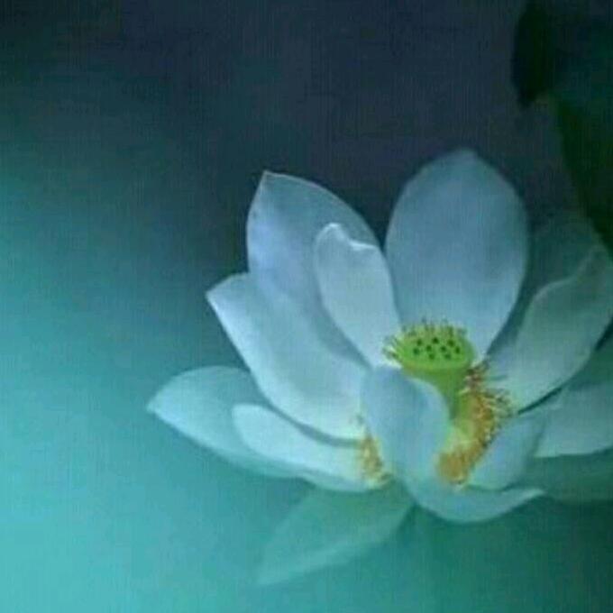 ＠海霞