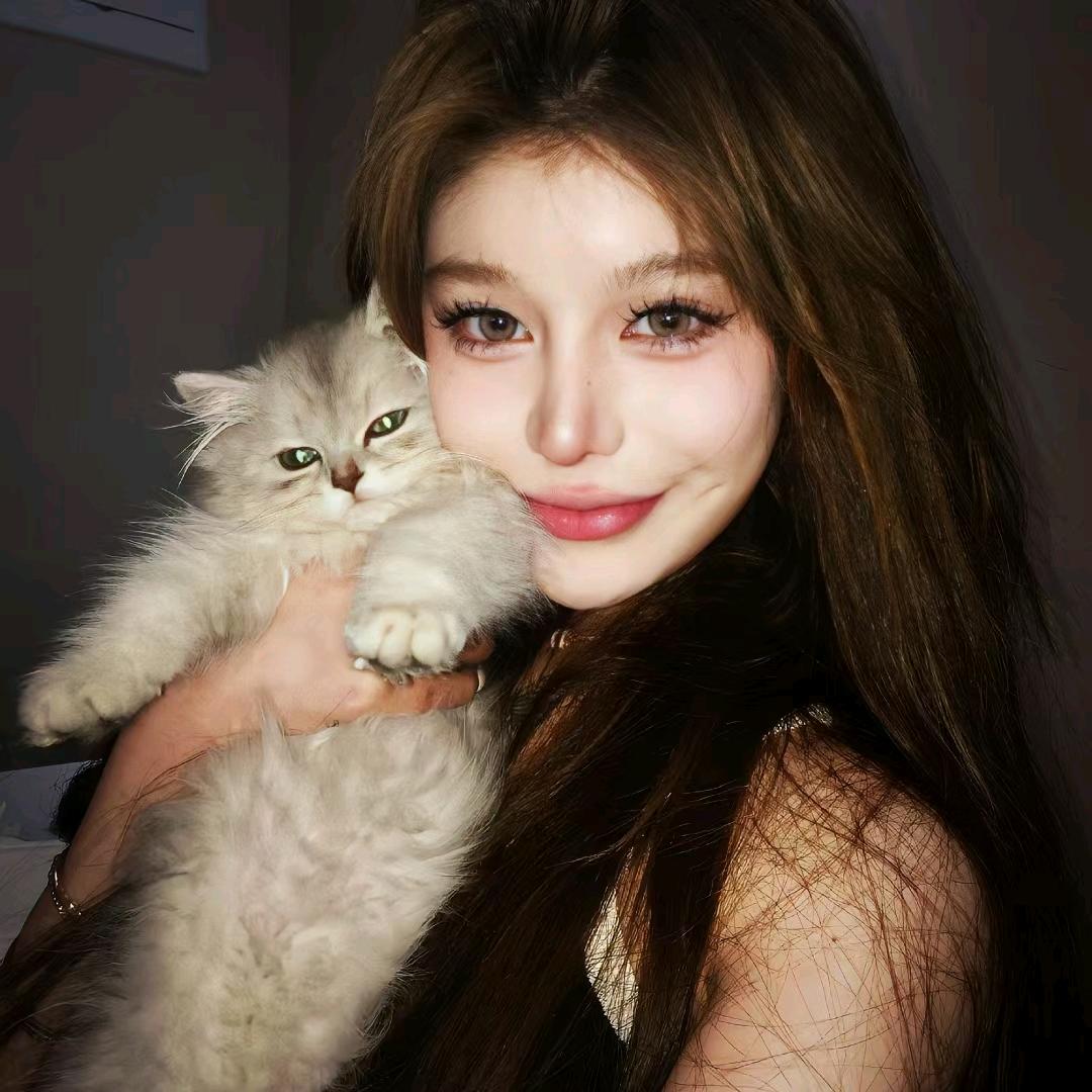 ，，。。