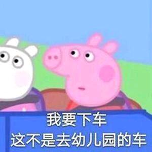 小飞鱼同学