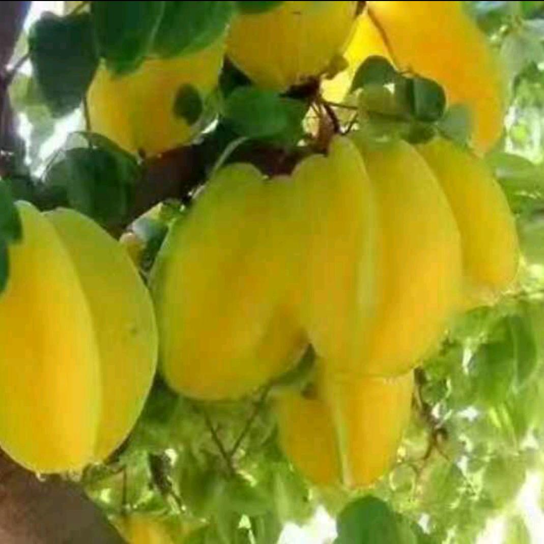 顺其自然