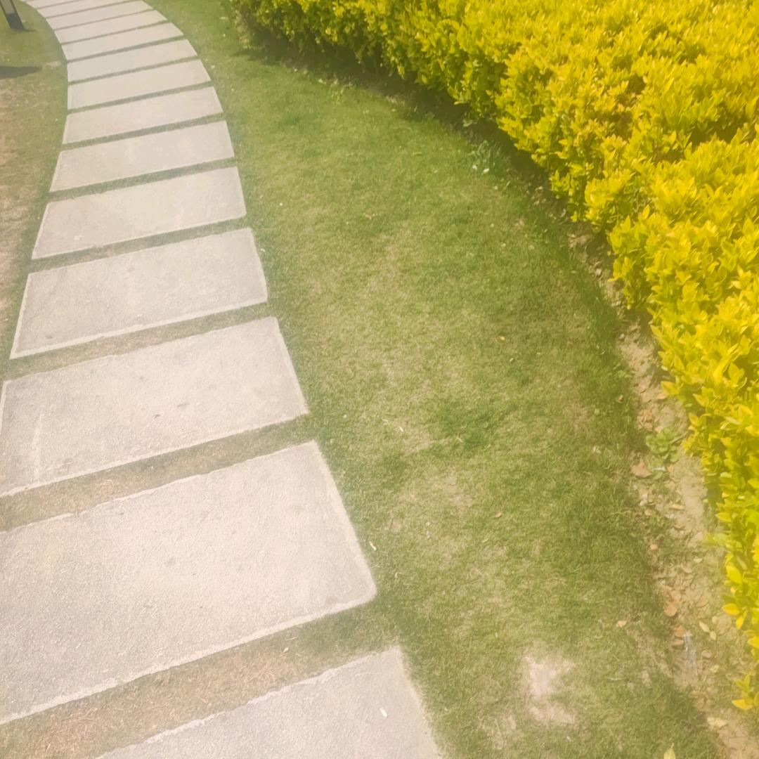 想出家