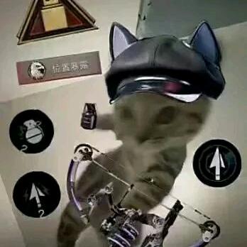 用四十七大脚走这去去买蜜雪冰城柠檬水