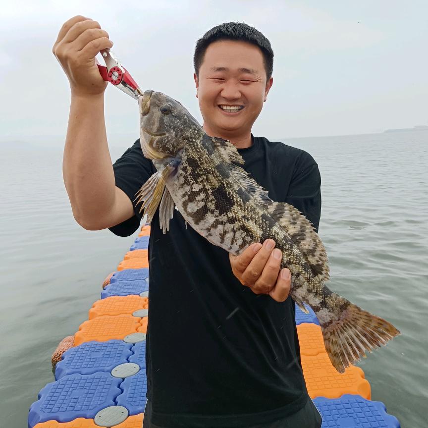 小王的海边生活(满仓)