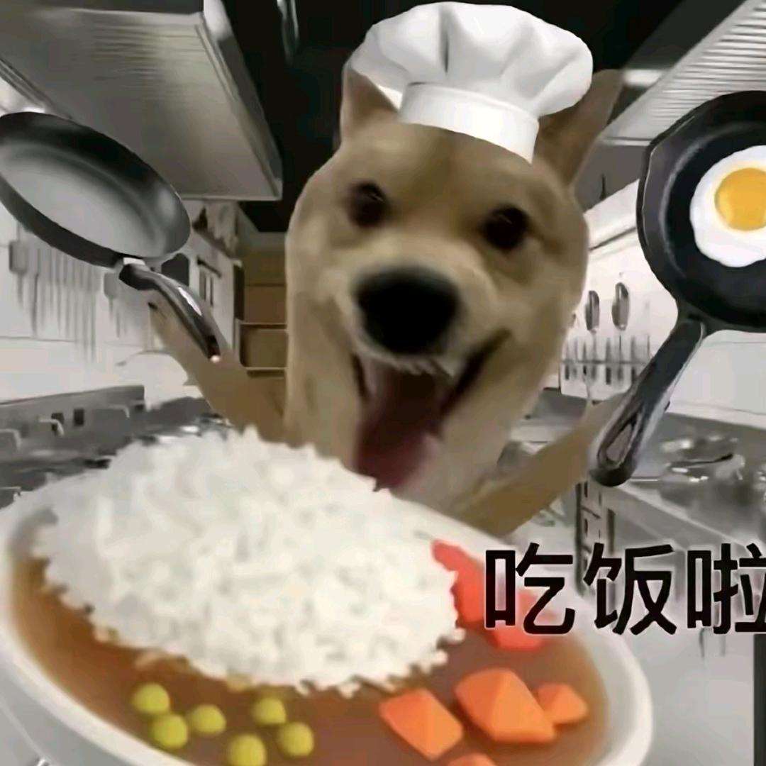 小小章鱼先生（科一必过版）