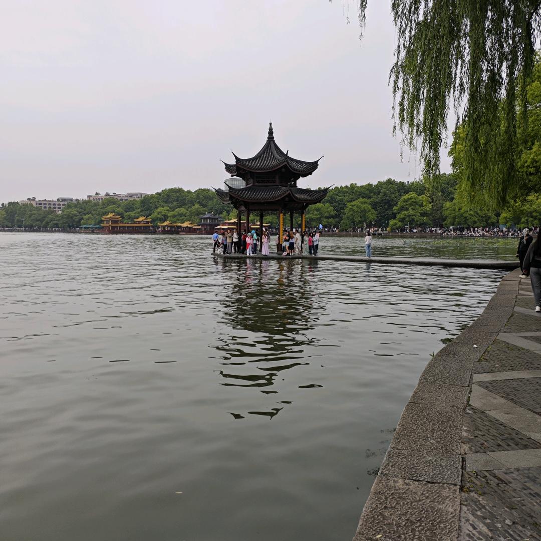 陈利庆头像