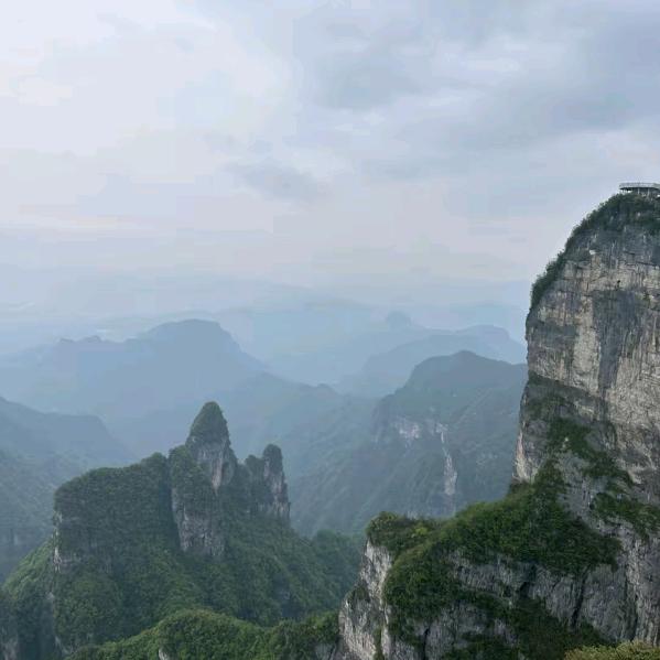 👨‍🌾👨‍🌾👨‍🌾