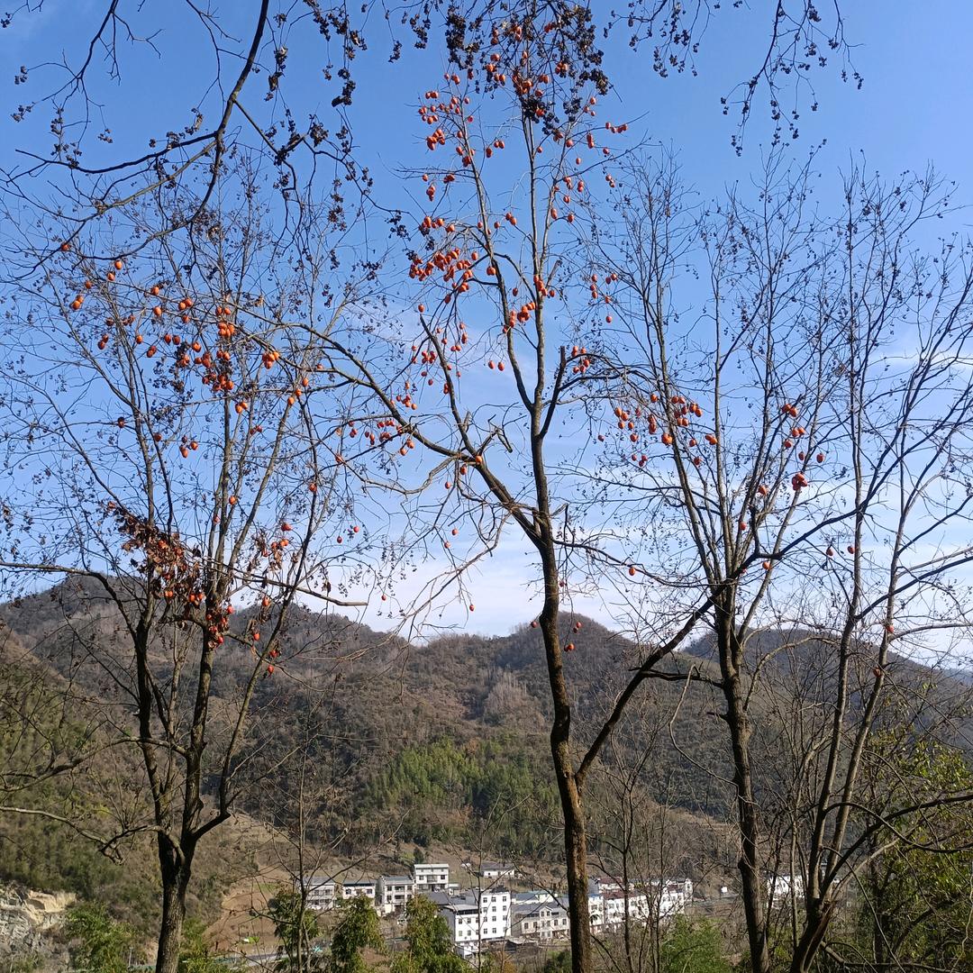 岁月的记忆