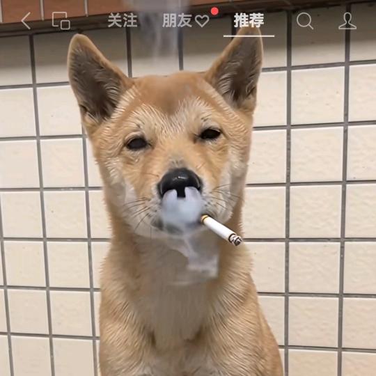 天天好运