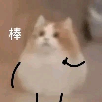 小刘（成长记）