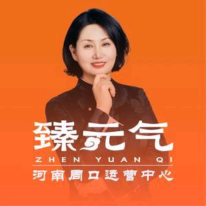 臻元气智力养热灸养生中心（美的翰城店）