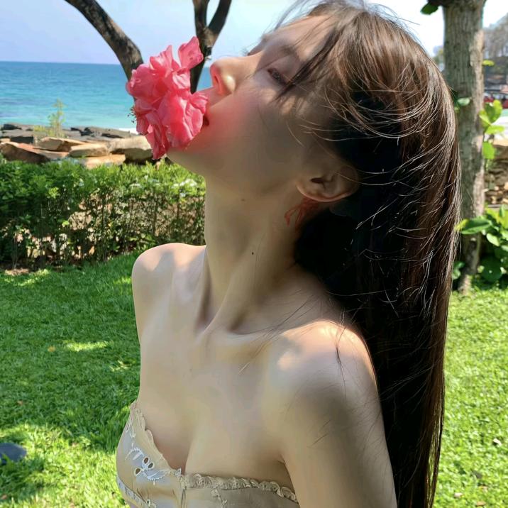 杏韵.