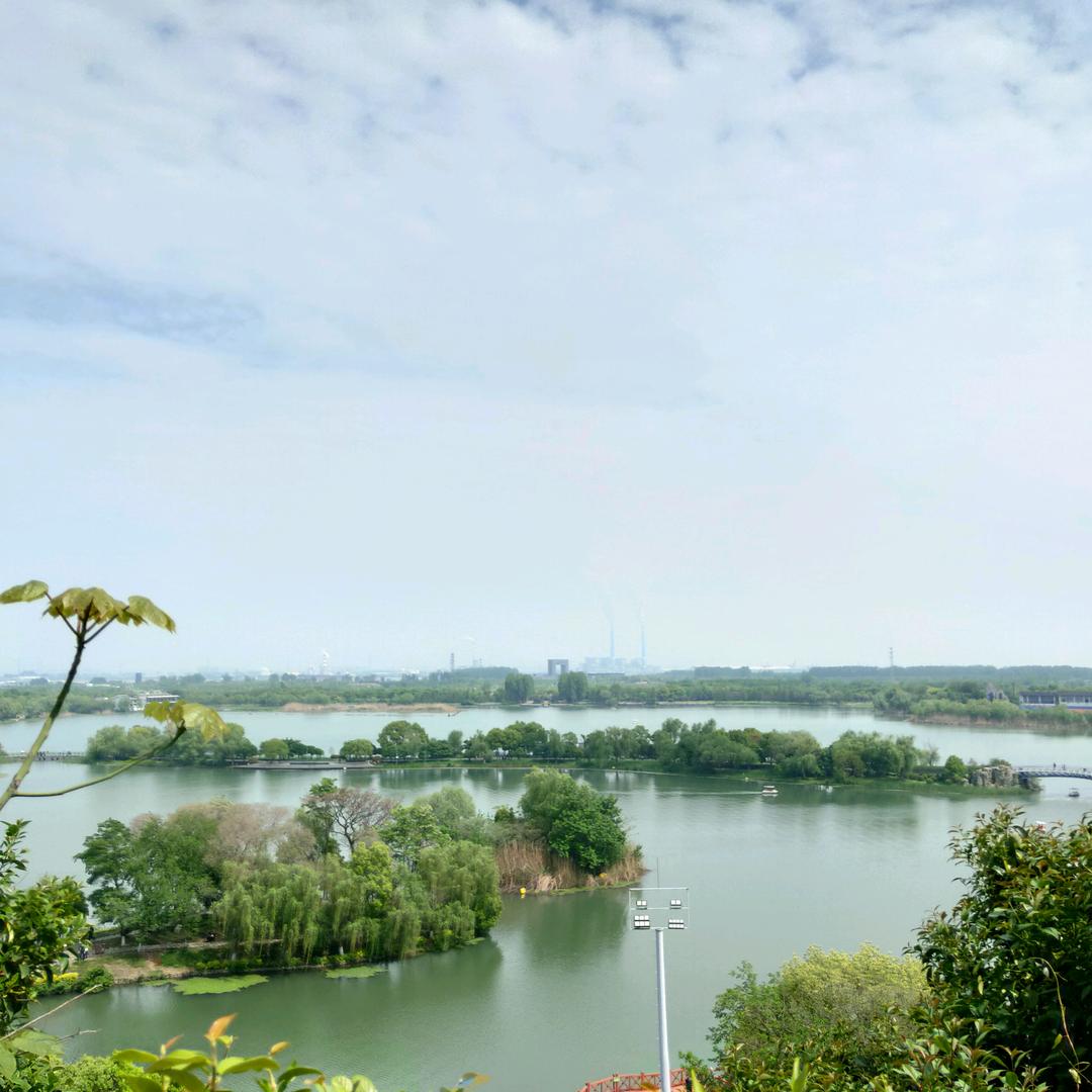 傲霜枝