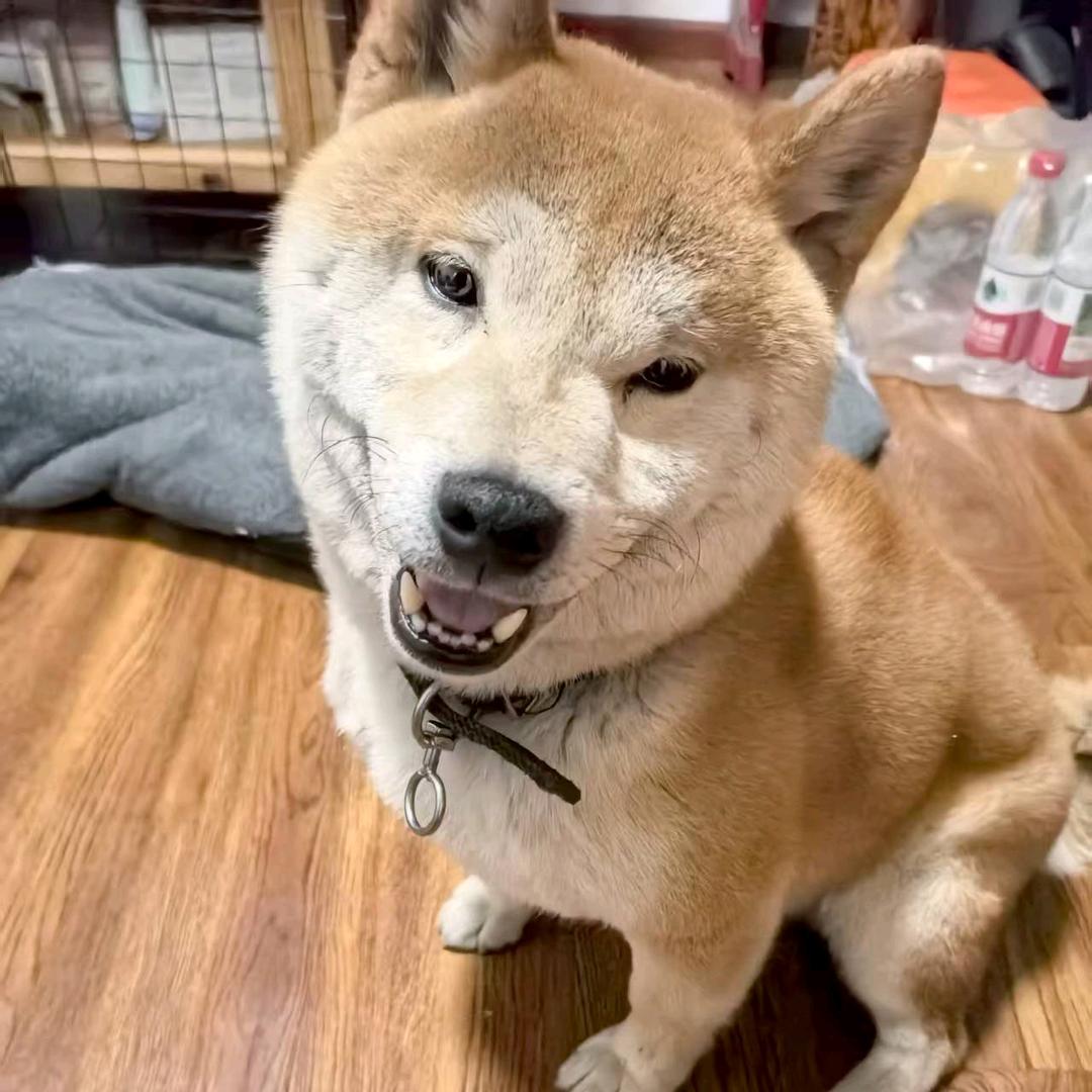 阿司匹林