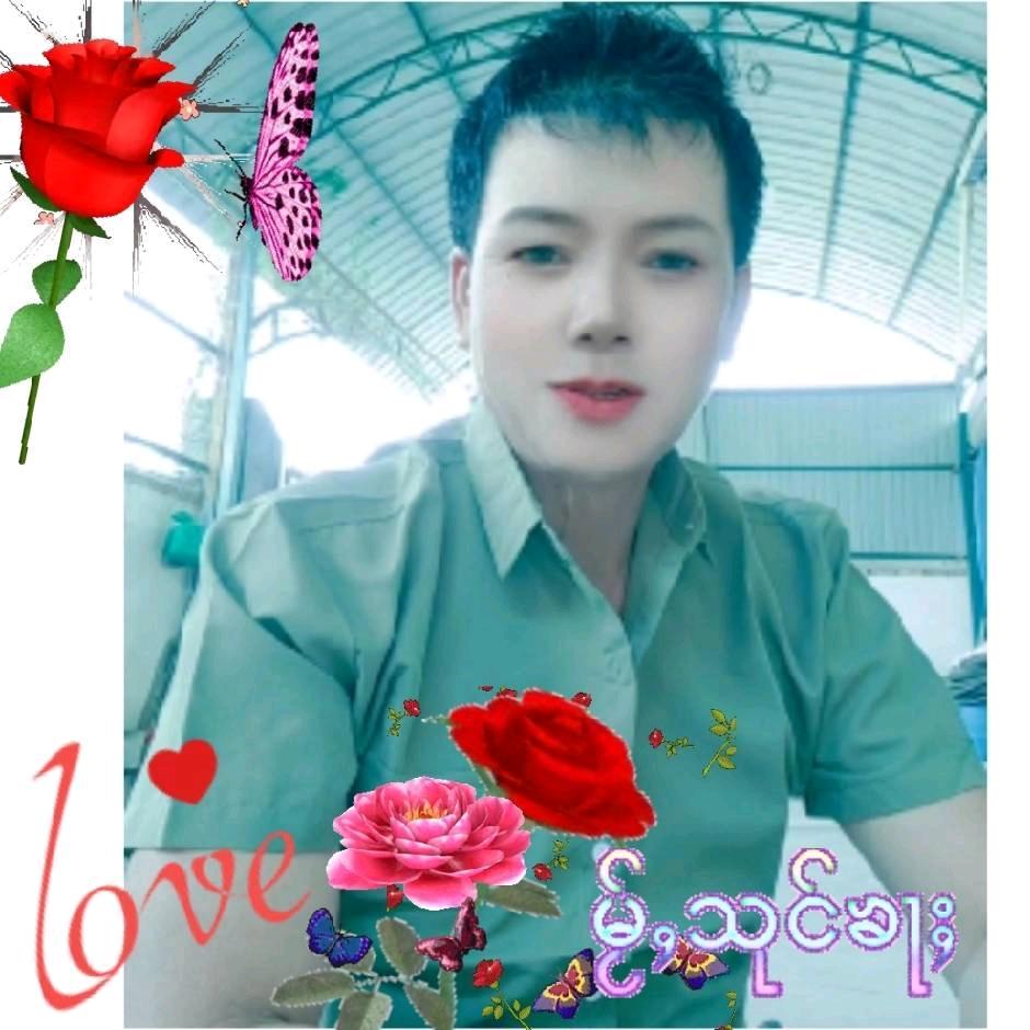 瑞丽美丽花🍀🌺💐🌻🍃🌸