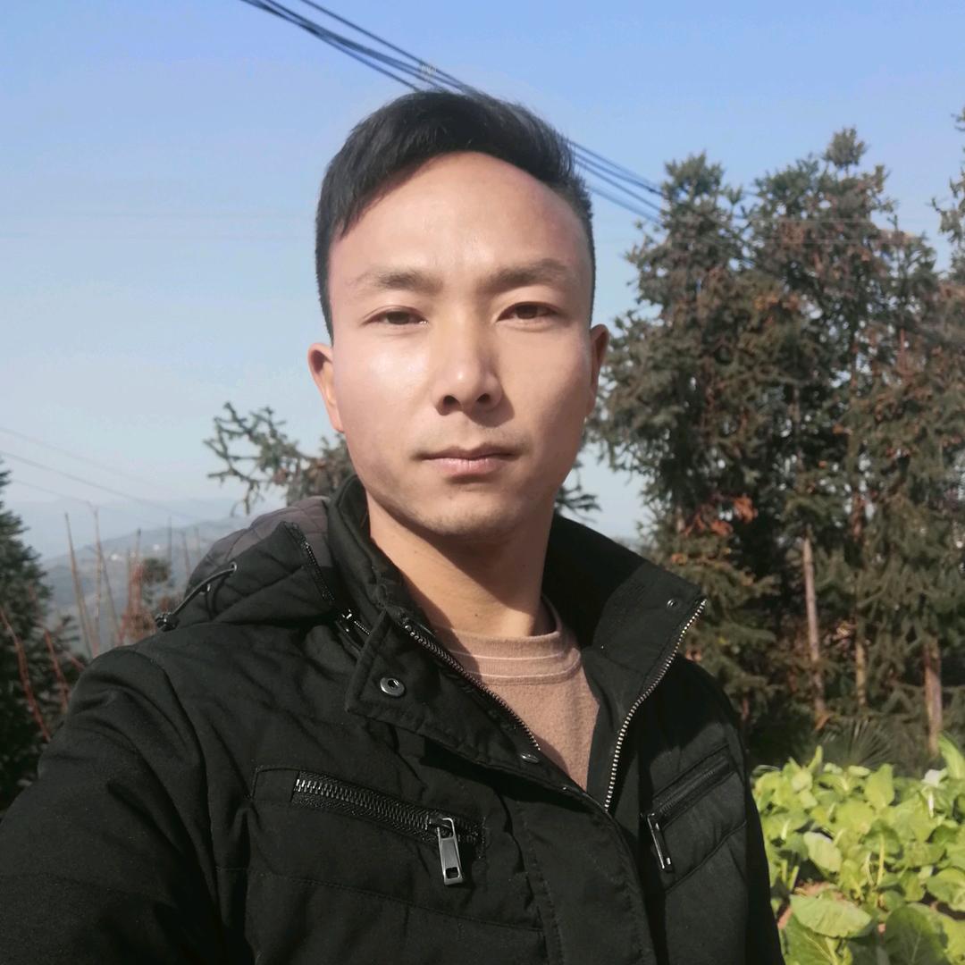 高哥