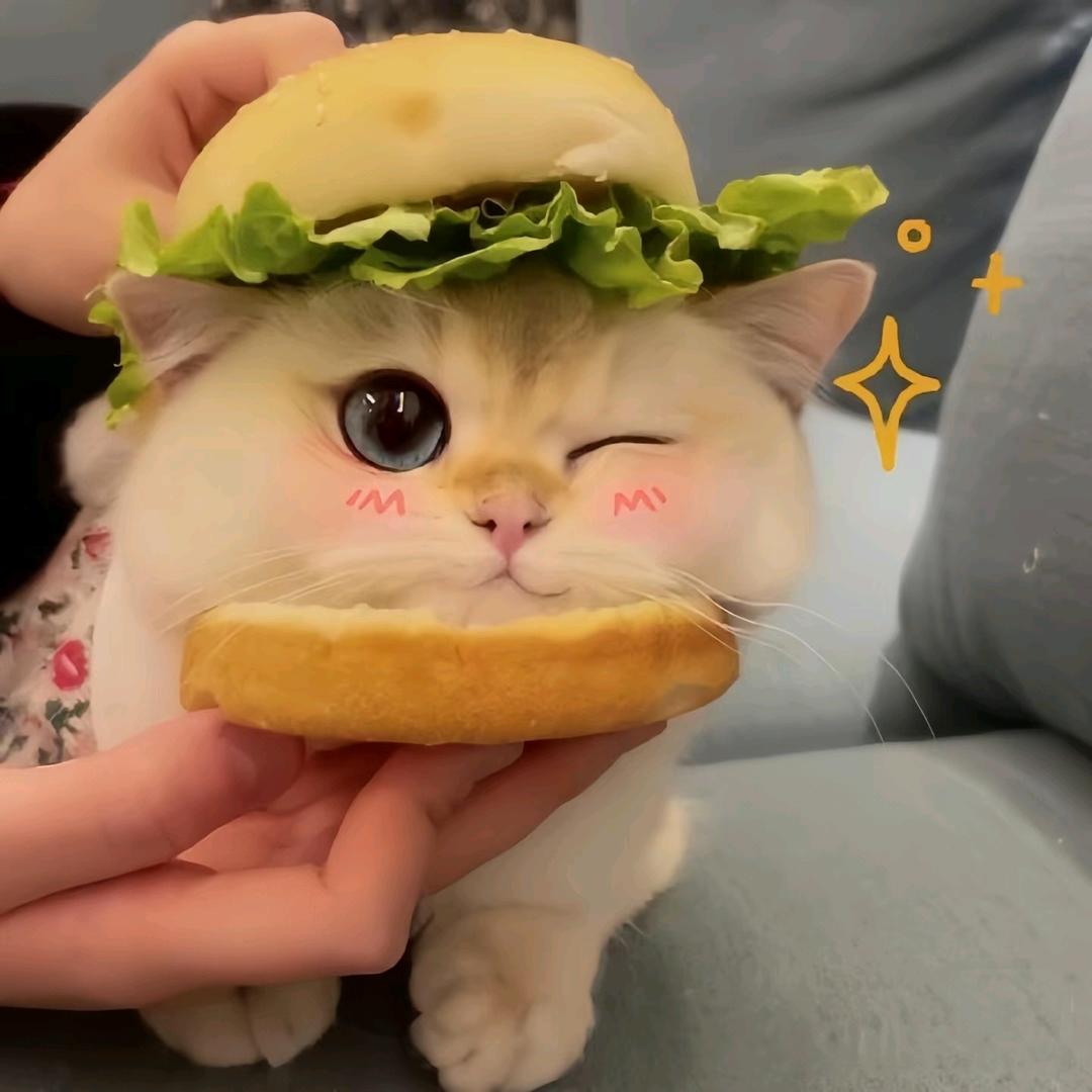 拾柒优选手机壳