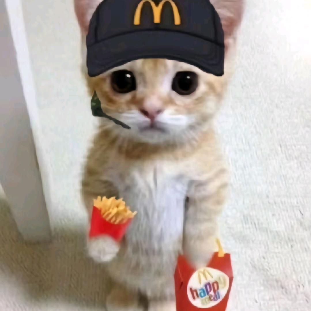 泪水打湿麦当劳