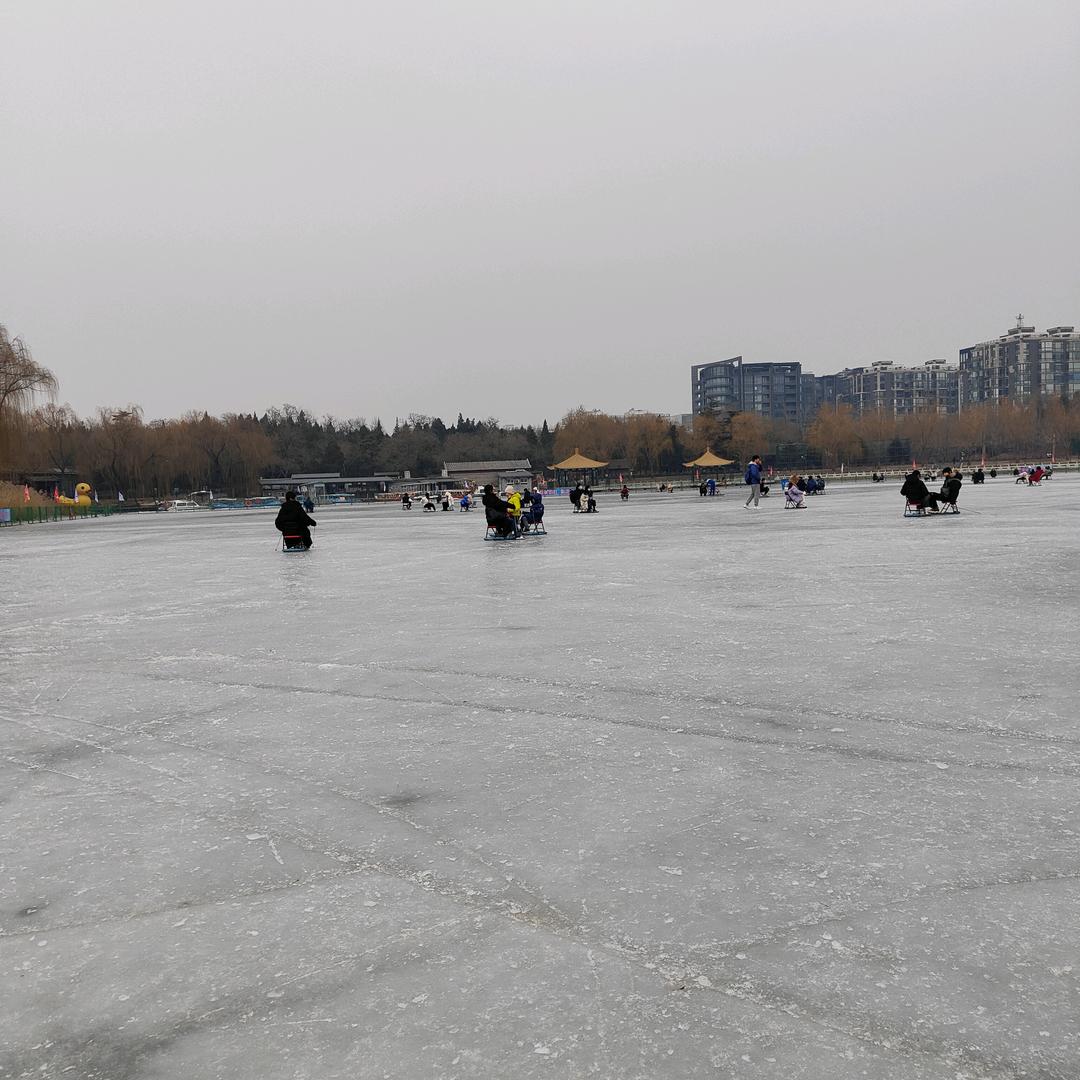 股市，小鱼儿。