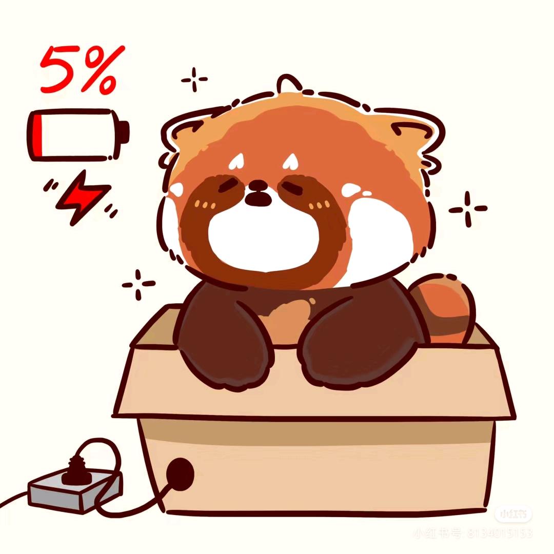 十九喜欢小浣熊