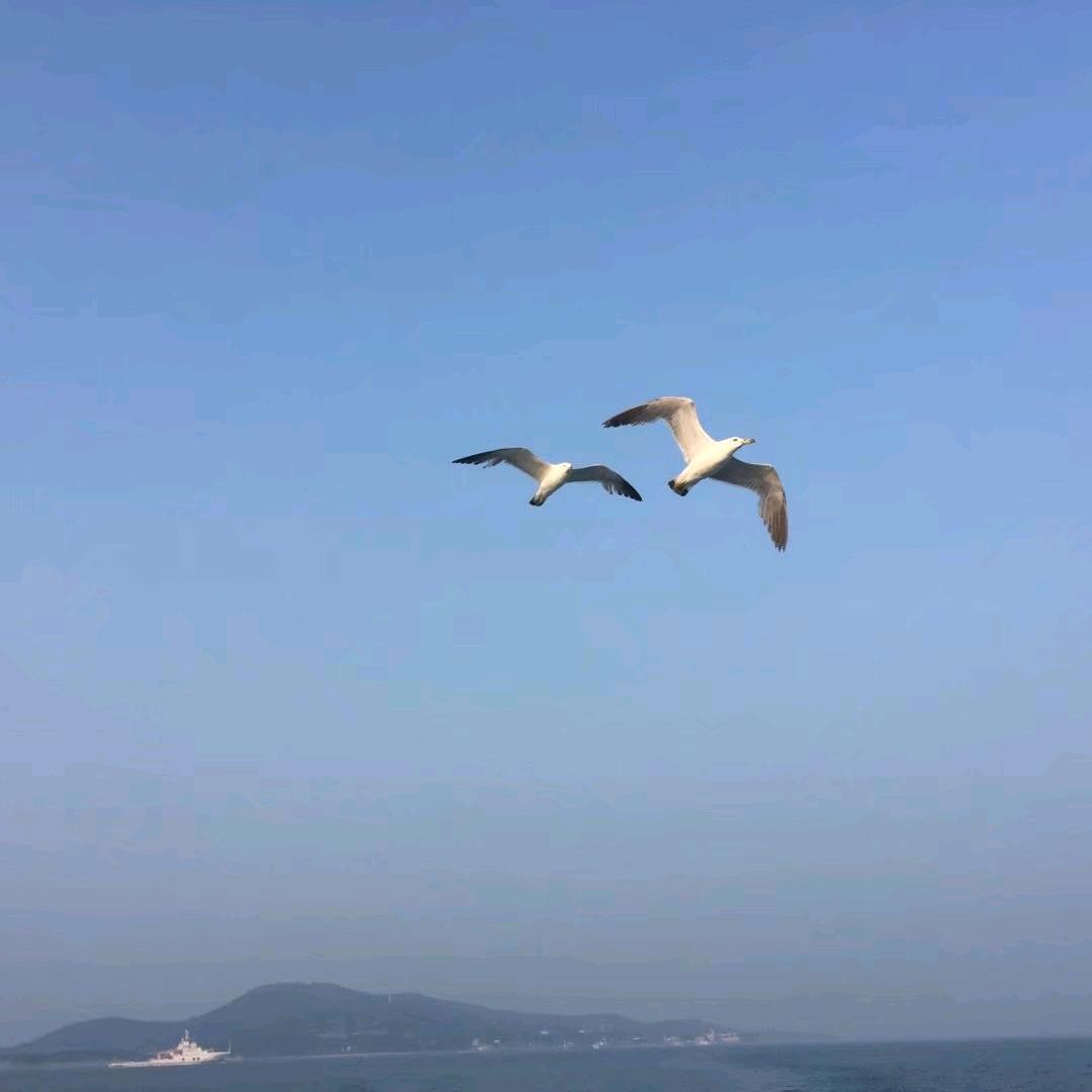 海蓝蓝