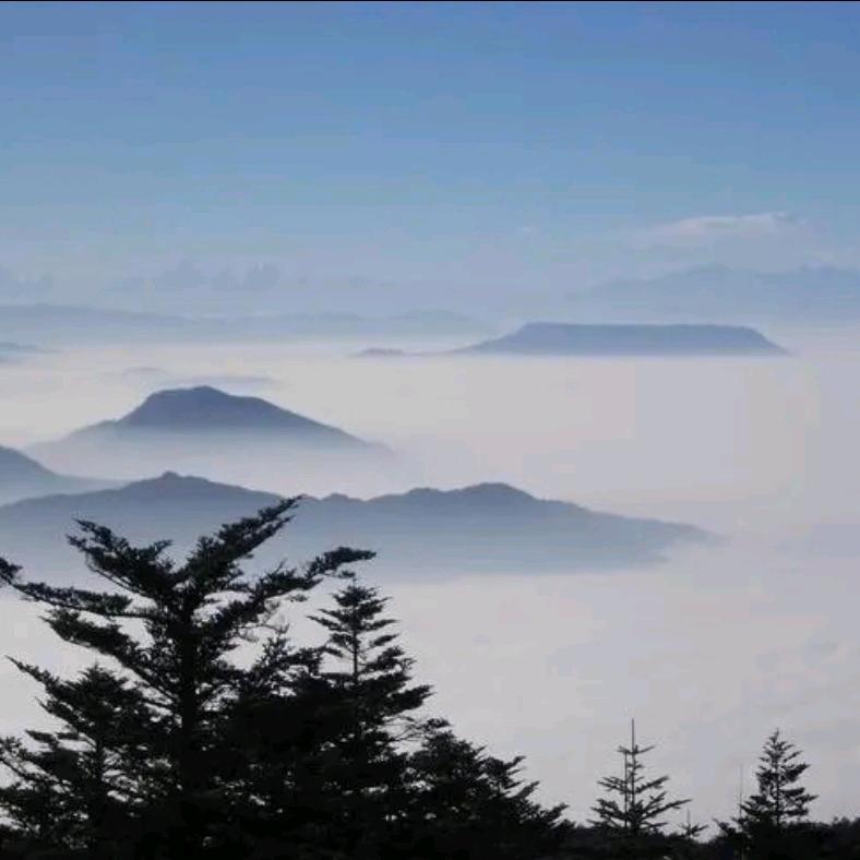 马成