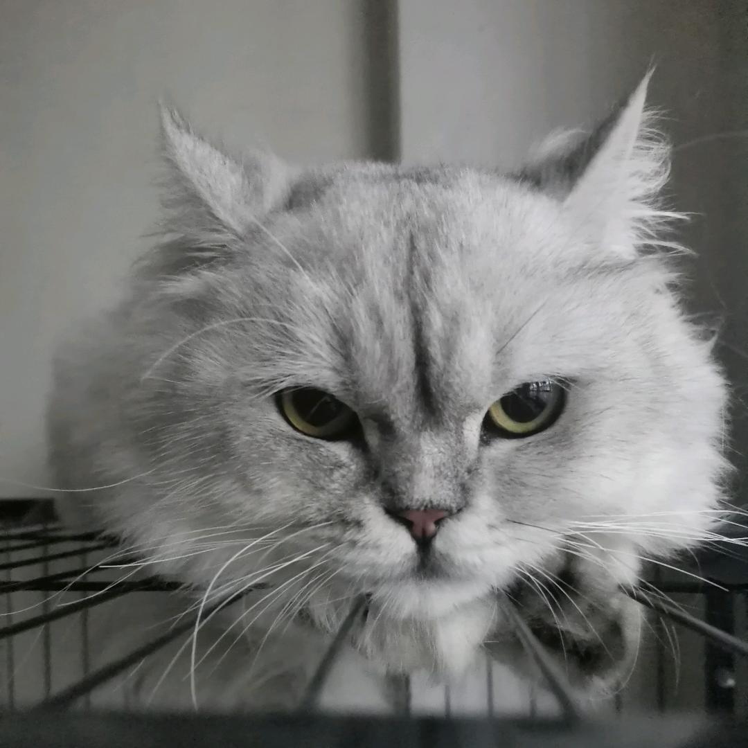 模糊的印象